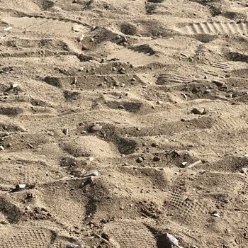 Kültür Ve Turizm Bakanlığı Belek Halk Plajının Kirliliği