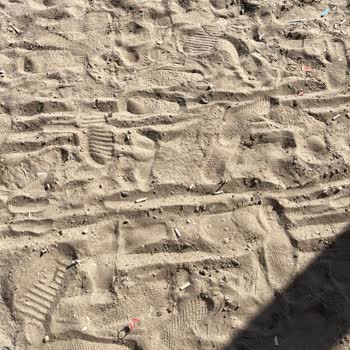 Kültür Ve Turizm Bakanlığı Belek Halk Plajının Kirliliği