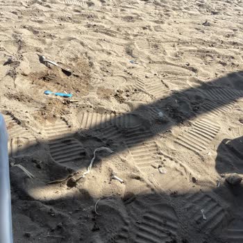 Kültür Ve Turizm Bakanlığı Belek Halk Plajının Kirliliği