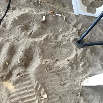 Kültür Ve Turizm Bakanlığı Belek Halk Plajının Kirliliği