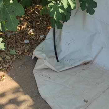 Türk Telekom İnternet Hat Problemi