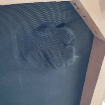 Ankara Demoons Aldığıma Pişmanım Gerçekten