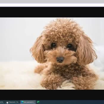 Vestel Klimamın Dış Ünitesi Yandı Ve Yangın Çıkardı