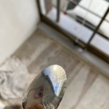 Milupa Aptamil Mama Böceklenme