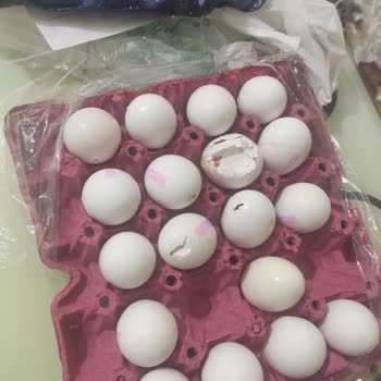 Hepsiburada Market Hasarlı Ürün Teslimatı