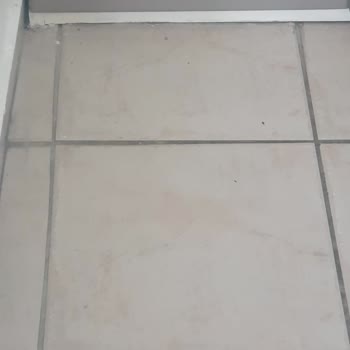 Jolly Tur Pişmanlığı