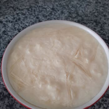 Bosch Buzdolabı Sorunu