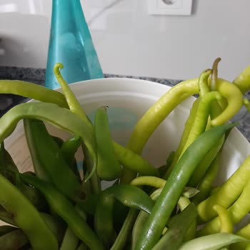 Bosch Buzdolabı Sorunu