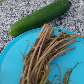 Bosch Buzdolabı Sorunu