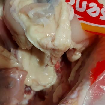 Şenpiliç Siyah Lekeler Var