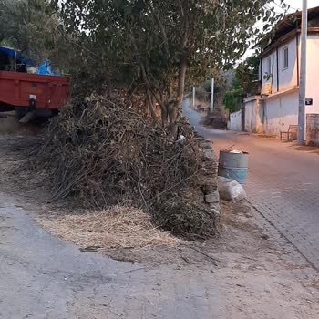 Koçarlı Belediyesi Çöp Toplama Sorunu