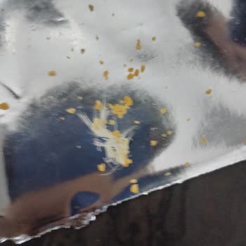 Erpiliç Nuggettan Tavuk Tüyü Çıktı