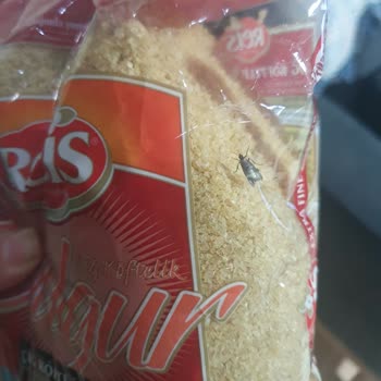 Reis Gıda Reis Köftelik Bulgur