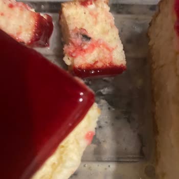 Tatbak Gıda Trileçede Böcek Bulundu