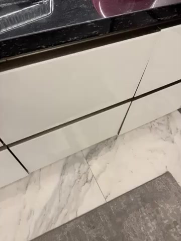 Eloctrux Dishwasherdoor Falls To Floor, Company Does Not Care video cover
