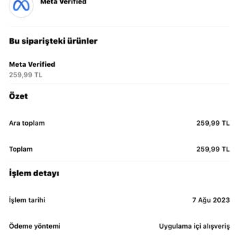 Instagram Meta Verified Mavi Tik 48 Saat Bekleme Süresi