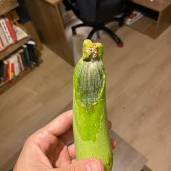 Migros Hemen Çürümüş Sebzeler
