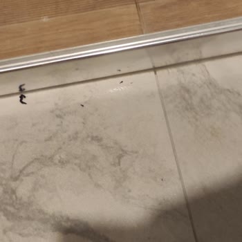 May Thermal 5 Yıldızlı Otel Kir İçinde, Klimalar Bozuk, Her Şey Çok Kötü