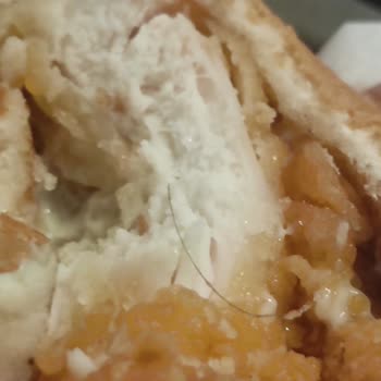 Popeyes Ayazağa Hamburgerden Çıkan Saç
