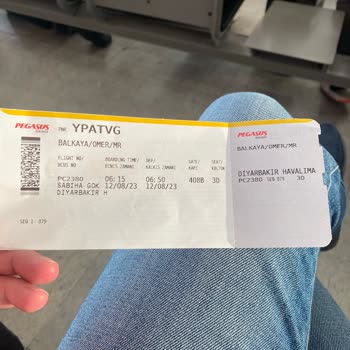 Pegasus Firmasının Sorumsuzluğu! İşgüzarlığı.