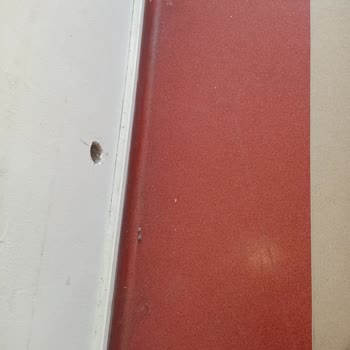 Ege Üniversitesi Hastanesi Hastane Kirliliği ve Sorumsuzluğu