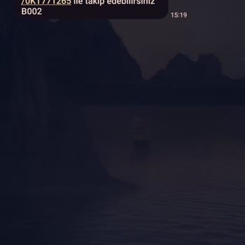 UPS Türkiye Oyalıyor Çalışmıyor. Boşuna Bekletiyor