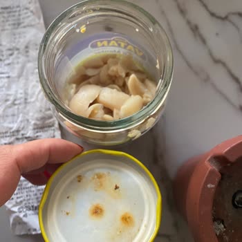 Ticaret Bakanlığı Bozuk Kavanoz Mantar