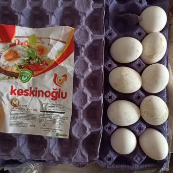 Keskinoğlu Yumurtaların Bozuk Görünmesi