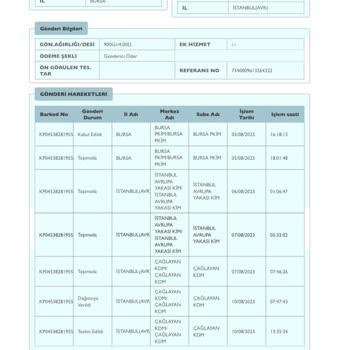 PTT Kargo Şikayet Kargom 10 Gündür Dağıtımda Gözüküyor
