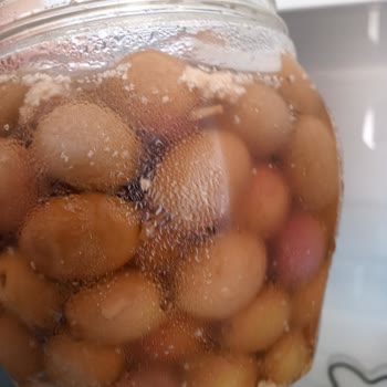 Cebel Bozuk Erimiş Küflü Çizik Yeşil Zeytin