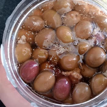 Cebel Bozuk Erimiş Küflü Çizik Yeşil Zeytin