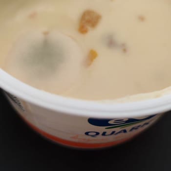 Migros'tan Alınan Sek Quark Kayısılı Üründe Küf Ve Sıvı Çıkması