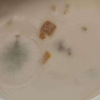 Migros'tan Alınan Sek Quark Kayısılı Üründe Küf Ve Sıvı Çıkması