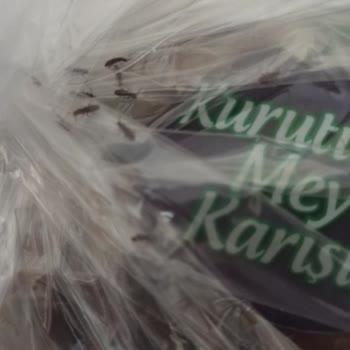 Şok Marketler Kurtlanmış Kuru Üzüm Sıkıntısı