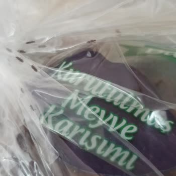 Şok Marketler Kurtlanmış Kuru Üzüm Sıkıntısı