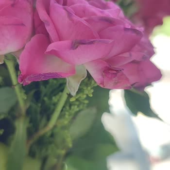 Taze Çiçek (tazecicek.com) Çiçek Siparişinde Yaşanan Sorun