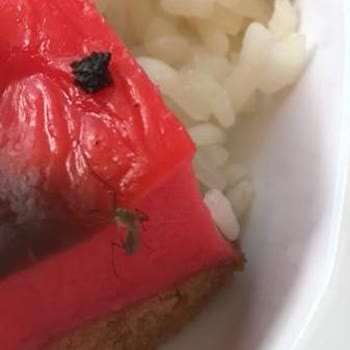 Tuna Termal Otel Afyon'un En Kötü Yeri