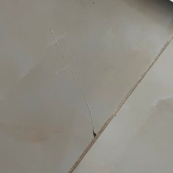 Doğa Sigorta Doğa Konut Paket Sigortası Hasar Talebi