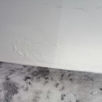 Bosch Buz Dolabımızın Her Tarafı Paslandı