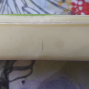 Cebel Kaşar Peynirinde Kıl Çıkması