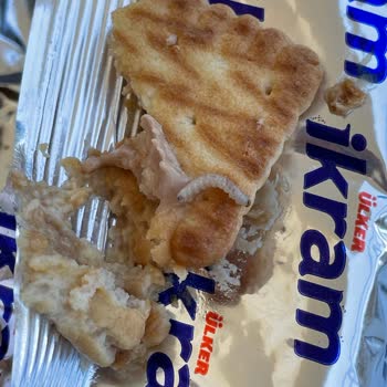 Ülker İkram'dan Kurt Çıktı