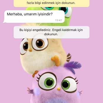 WhatsApp Bilinmeyen Bir Kişi Ve Mesaj!