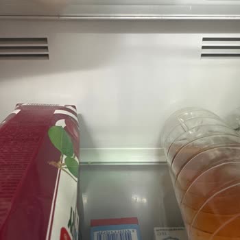 Samsung Buzdolabı Sebzeleri Donduruyor