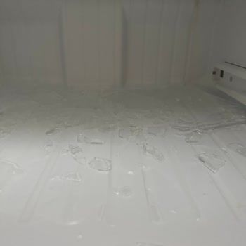 Samsung Buzdolabı Sebzeleri Donduruyor