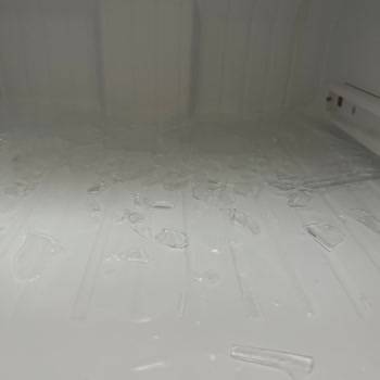 Samsung Buzdolabı Sebzeleri Donduruyor