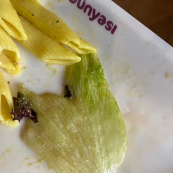 Terracity AVM Tavuk Dünyasında Kıl Faciası