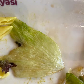 Terracity AVM Tavuk Dünyasında Kıl Faciası