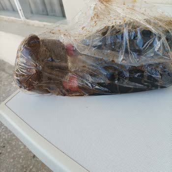 Hataystore.com 6 Kilo Biber Yerine 500gr Biber Ezmesi