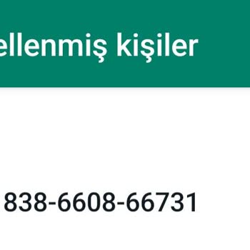 WhatsApp Şüpheli Numaralar (+62, +220)