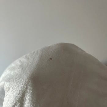 ebebek Bebek Ürününden Sinek Çıktı!